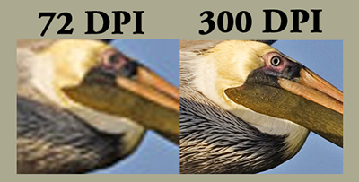 Picture Resolution 300 DPI [Why It Matters] - InchesToPixels